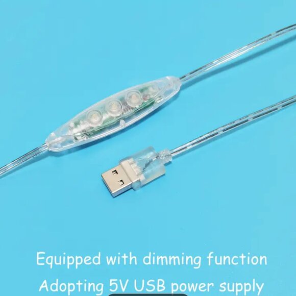 STATE OF TEXAS NEON LED SIGN - Picture 5 of 5